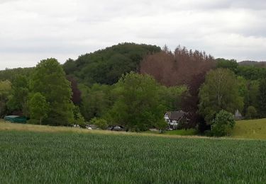 Excursión A pie Bergisch Gladbach - Herrenstrunden Rundweg A2 - Photo