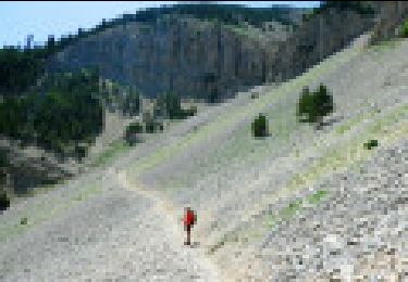 Trail Walking Bédoin - Le Mont Ventoux, versants Nord et Sud - Photo