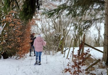 Randonnée Raquettes à neige Bullange - Manderfeld (PVDB) - Photo