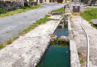 Tocht Stappen Grandrieu - Grandrieu  - Photo