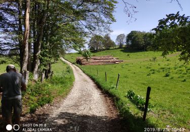 Tour Wandern Valserhône - le plateau de Retord - Photo