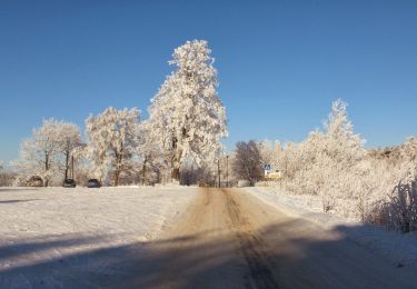 Tocht Te voet  - Runtrack zielony 5 km - Photo