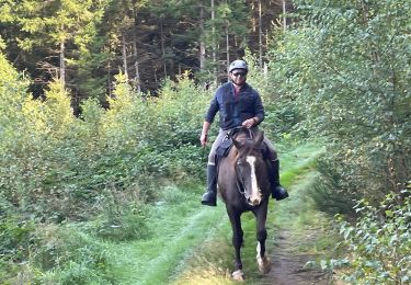 Tour Reiten Bastnach - Lutrebois - Photo