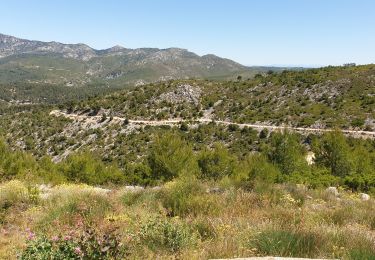 Tour Mountainbike Allauch - les antennes du garlaban - Photo