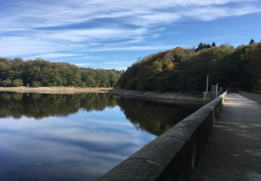 Tour Mountainbike Dourgne - La Croix des fangasse , les Escudiers , arfons  - Photo