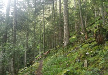 Tocht Stappen Saint-Lary - pic de la Calabasse en boucles depuis le parking de l'Osque Couret - Photo