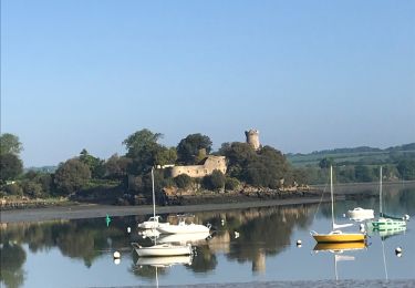 Randonnée Marche Pleudihen-sur-Rance - 12.05.2019 - Mordreuc.... - Photo