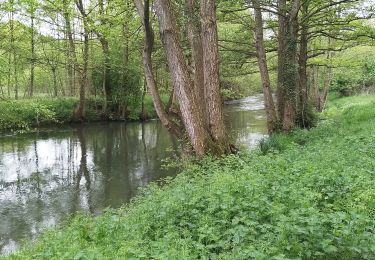 Tour Wandern Bouvaincourt-sur-Bresle - Bouvaincourt sur Bresle  - Photo