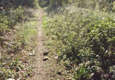 Trail Walking Ponsas - Ponsas roches qui dancent - Photo