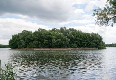 Percorso A piedi Paderborn - Lippe-See Rundweg - Photo