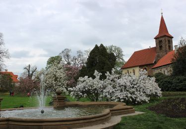 Excursión A pie  - [Ž] Průhonice - Roztyly - Photo