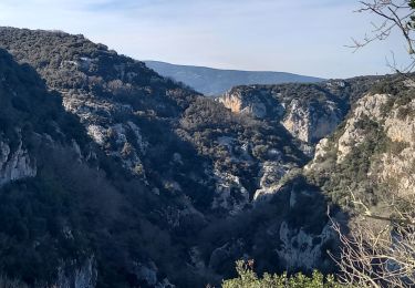 Tocht Stappen Notre-Dame-de-Londres - Gorges du Lamalou - Photo