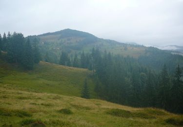 Tocht Te voet  - sat Arieșeni - Peștera Ghețarul Scărișoara - Photo