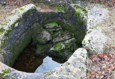 Trail Walking Villes-sur-Auzon - Villes sur auzon /Bergerie de PIE GROS/LA LAUZE - Photo