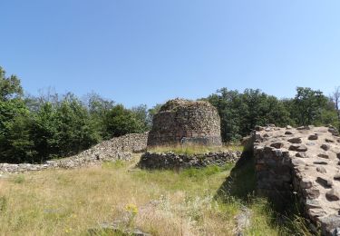 Randonnée Marche Masevaux-Niederbruck - Masevaux-Chateau de Rougemont-Chapelle Ste Catherine  - Photo