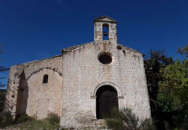 Excursión Senderismo Cucuron - Cucuron Vaugines par la chapelle de  l'Hermitage - Photo