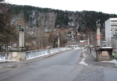 Tour Zu Fuß Gemeinde Enzenreith - Nemec Runde (Gloggnitz) - Photo