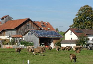 Tocht Te voet Lauben - DE-L2 - Photo