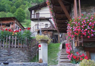 Tocht Te voet Bobbio Pellice - (SI E24) Villanova Pellice - Ghigo di Prali - Photo