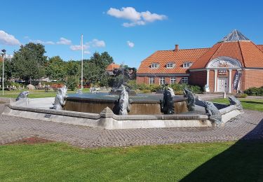 Tour Zu Fuß  - Sort Kløversti, Vejen - Photo