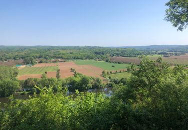 Trail Mountain bike Alles-sur-Dordogne - Trémolat par Michel - Photo