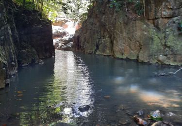 Tour Wandern Pointe-Noire - retour bivouac rivière gde plaine Pte-Noire  - Photo