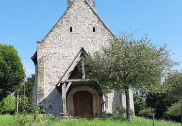 Trail Walking Cambremer - Boucle des vergers  - Photo