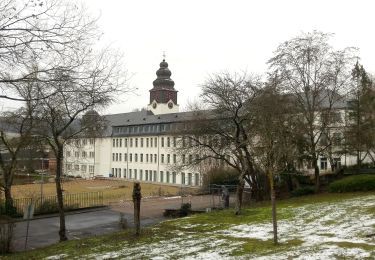 Tour Zu Fuß Rüdesheim am Rhein - Rundwanderweg Tanne - Photo