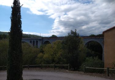 Tocht Stappen Céret - st Ferriol - Photo