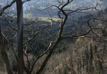 Randonnée Marche Viuz-en-Sallaz - Boucle du Vouants  - Photo