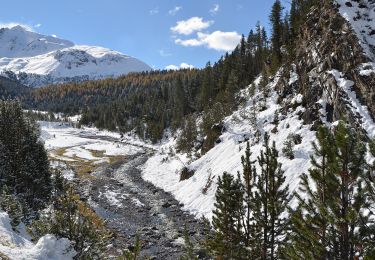 Randonnée A pied Zernez - Punt dal Gal - Punt la Drossa - Photo