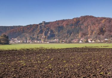 Excursión A pie Wellheim - Rundwanderweg Wellheim 3 - Photo