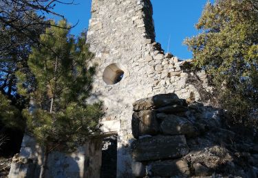 Trail Walking Roche-Saint-Secret-Béconne - le rocher des Aures  - Photo