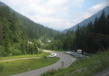 Excursión A pie Marktgemeinde Reutte - BT 3 Kreuzspitze - Photo