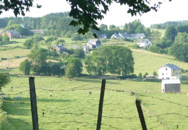 Tocht Te voet Bertrix - GrWandArdRiv 47: Auby-Sur-Semois een meander onder bos - Photo