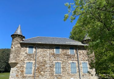 Excursión Senderismo Chamborigaud - Vallée du Luech et vallée de l’Homol - Photo