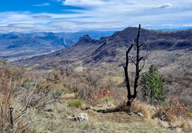 Tour Wandern Noyers-sur-Jabron - SityTrail - NOYERS SUR JABRON  , S Martin  , col S Pierre , cretes de l ane n - Photo