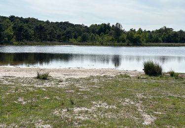 Trail Walking Kalmthout - Heide 24,2 km - Photo