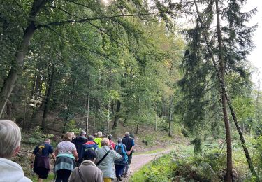 Percorso sport Eupen - Eupen - Photo