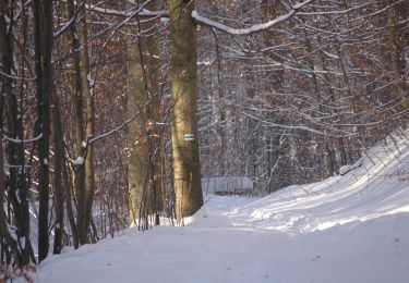 Tour Zu Fuß Unbekannt - Szlak przez Słupi Głaz im. Wojciecha Lipniackiego - Photo