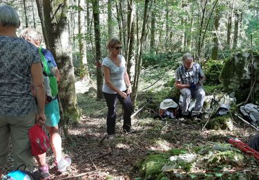 Trail Walking Dournon -  Cernans - Photo