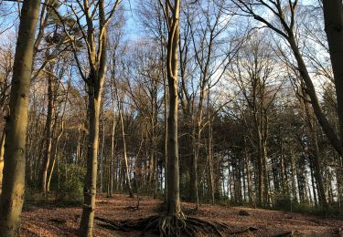 Randonnée Marche Huy - Bois de Tihange - Photo