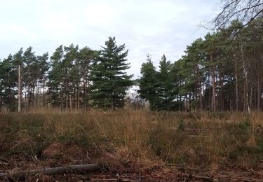 Tour Wandern Ottignies-Louvain-la-Neuve - Louvain-la-Neuve 2019 12 17 Nathalie Demain 4 - Photo