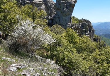 Trail Walking Valouse - mielandre par valouse départ basse grange  - Photo