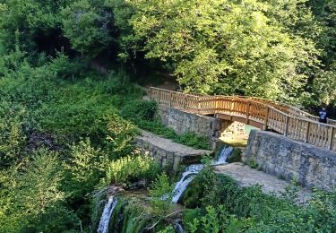 Excursión Carrera Ambérieu-en-Bugey - reprise douce Ambérieux en Bugey  - Photo