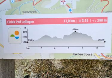 Tocht Stappen Kiischpelt - 2023-06-19_15h16m15_eislek-pad-lellingen-1 - Photo