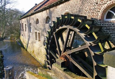 Excursión A pie Wassenberg - Rundweg 