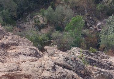 Randonnée Marche Pietrosella - Balade du pénitencier  - Photo