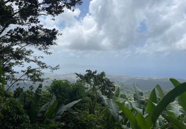 Excursión Marcha nórdica Fort-de-France - Morne Césaire  - Photo