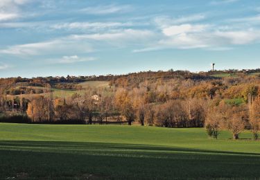 Randonnée A pied Castelnau-de-Lévis - Castelnau de Levis version courte - Photo